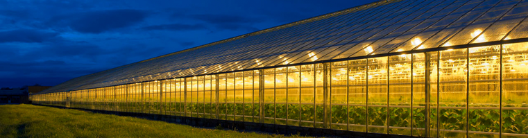 Partnerships-and-white-label-solutions-2021-09-02